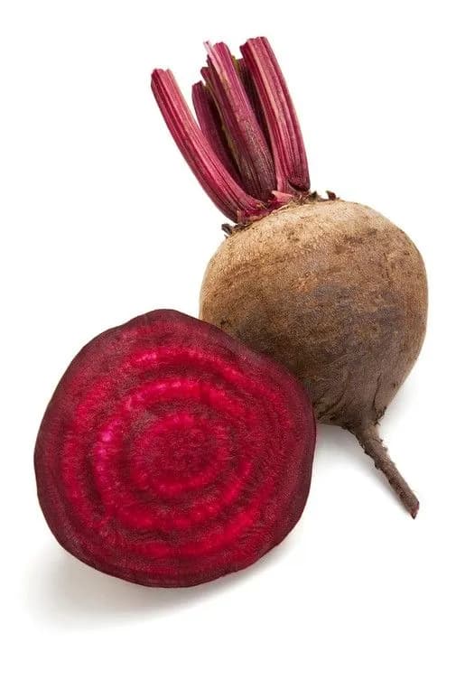 شمندر (بربا)