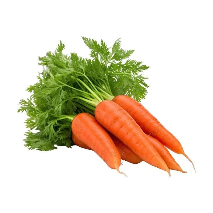 جزر