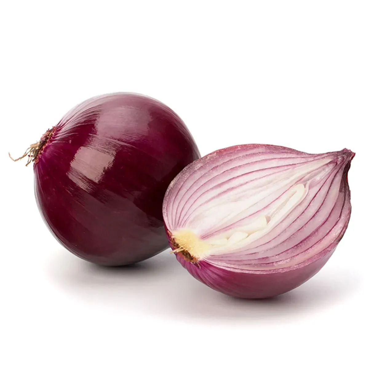 بصل