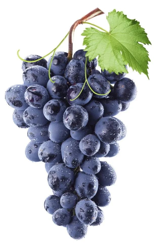 العنب